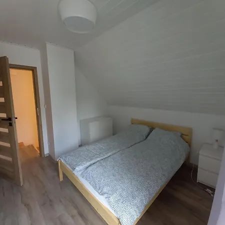 - Lotnisko * ボルスク