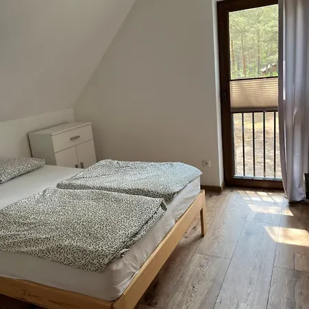 - Lotnisko * ボルスク