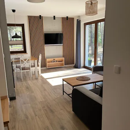 - Lotnisko * ボルスク